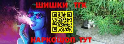 спиды Славгород